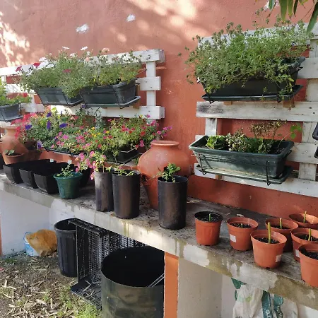 Casa Dos Arrabidos 托雷斯诺瓦斯