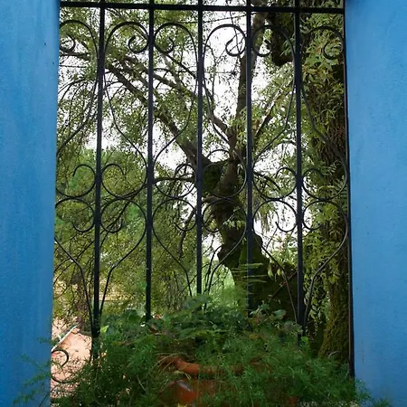Casa Dos Arrabidos Country house