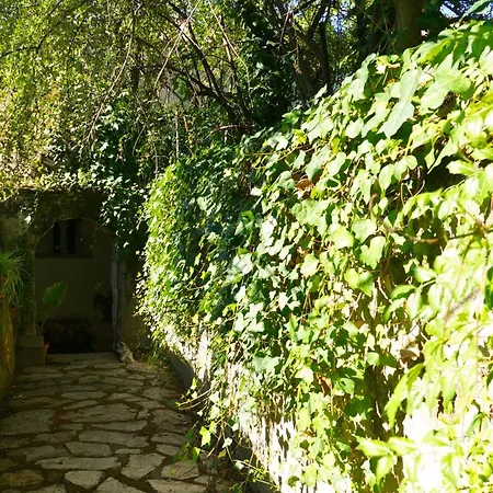 Casa Dos Arrabidos * Torres Novas