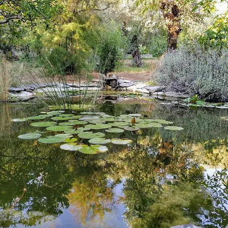 乡村民宿 Casa Dos Arrabidos *