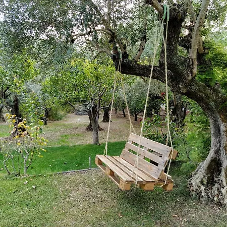Casa Dos Arrabidos 托雷斯诺瓦斯