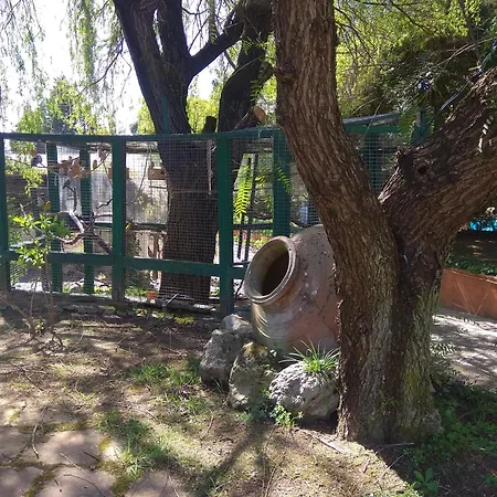 Casa Dos Arrabidos *