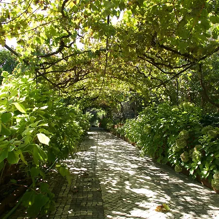 乡村民宿 Casa Dos Arrabidos