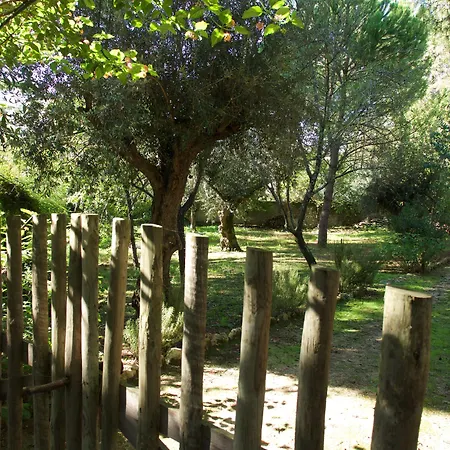 乡村民宿 Casa Dos Arrabidos *