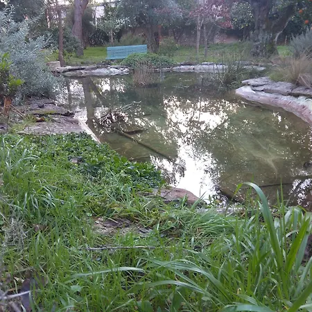 Casa Dos Arrabidos * Torres Novas