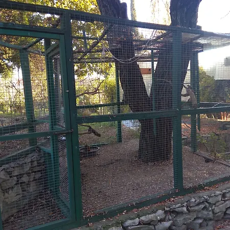 Casa Dos Arrabidos