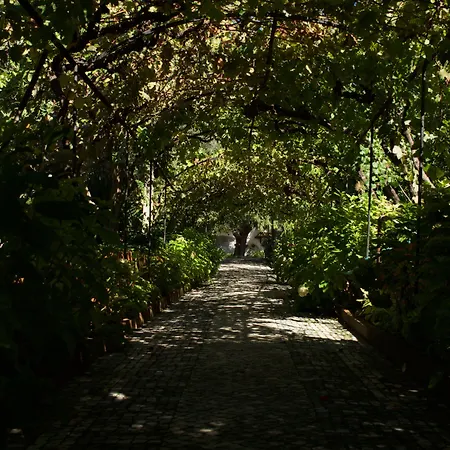 乡村民宿 Casa Dos Arrabidos 托雷斯诺瓦斯