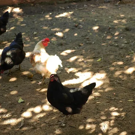 Casa Dos Arrabidos *