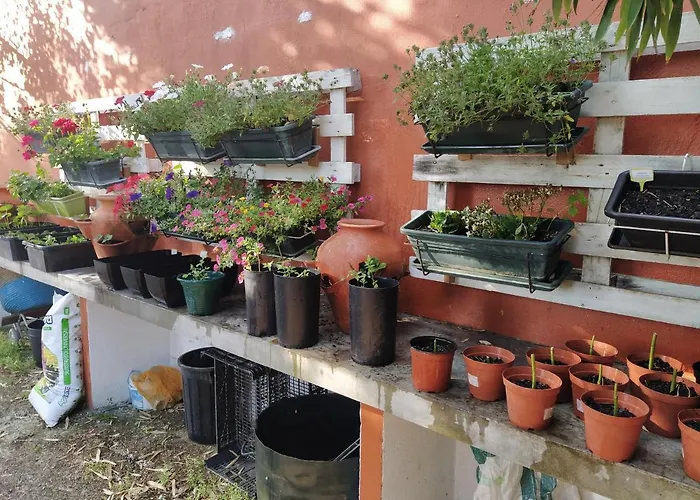 Casa Dos Arrabidos Torres Novas