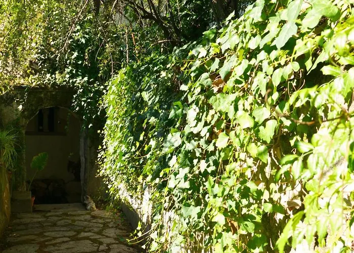 Casa Dos Arrabidos * Torres Novas