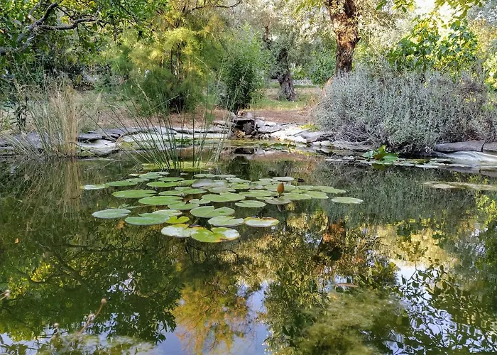Εξοχικό σπίτι Casa Dos Arrabidos *